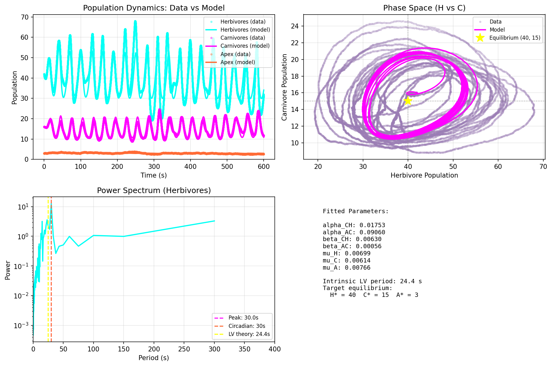 Ecosystem population dynamics and phase space analysis